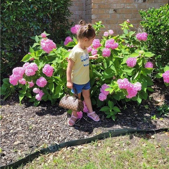 Mini Ribera in DE - Picture 1 of 15